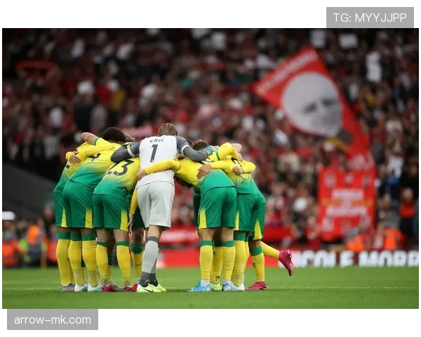 诺维奇金丝雀新赛季目标明确：力争重返英超，展现稳健争冠姿态