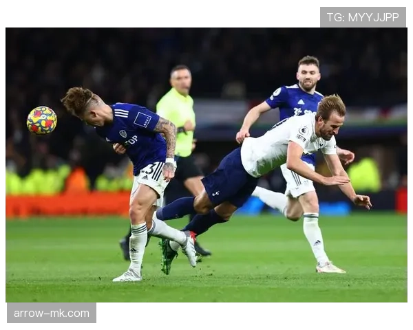 波特海鸥状态回暖，强势迎战英超新赛季高潮